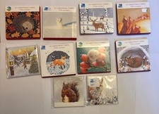 Pack 10 RSPB charity Christmas