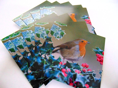Luxury christmas cards - 10,