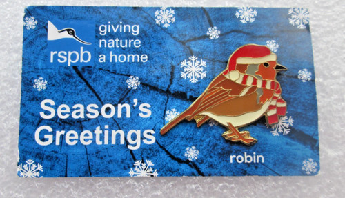 Rspb charity pin - pin, badge