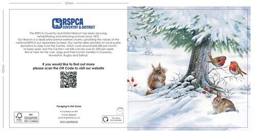 Rspca charity christmas cards - charity,