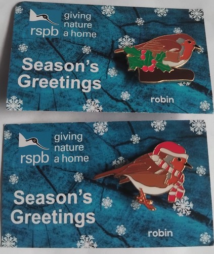 Rspb pin badge - pin, of