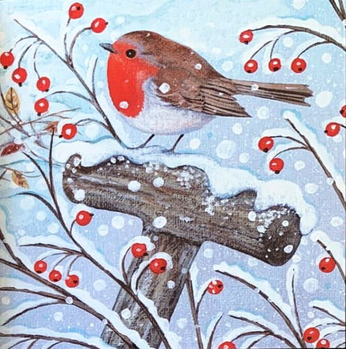 Lucy grossmith robin - robin, 'winter