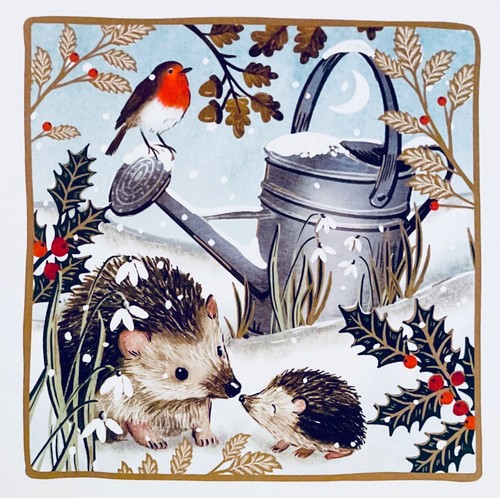 Rspb charity christmas - charity,