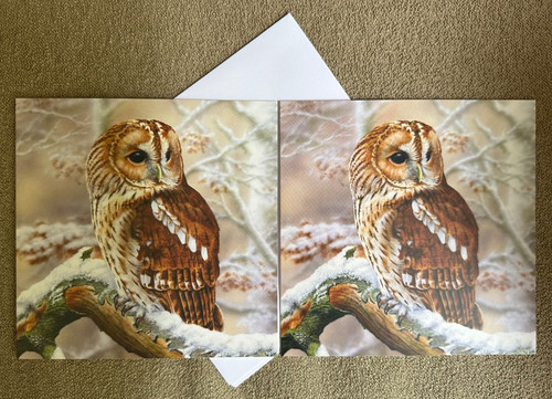 Full wisdom tawny owl - wisdom,,