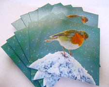 10 Luxury Christmas Cards &