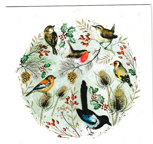 Christmas chorus rspb - christmas,