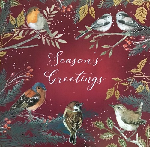 Birds foliage charity - birds,