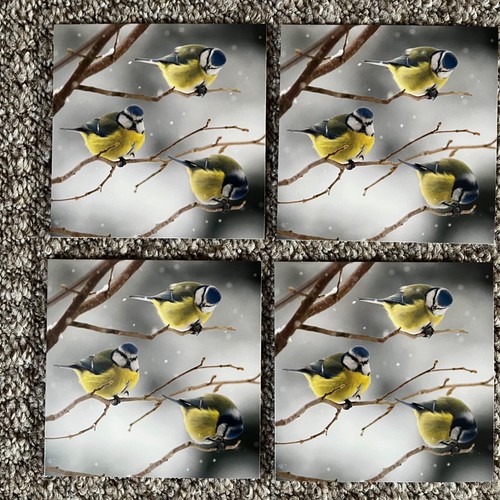 Blue tit rspb christmas - rspb,